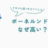 ボーネルンドのおもちゃはなぜ高い
